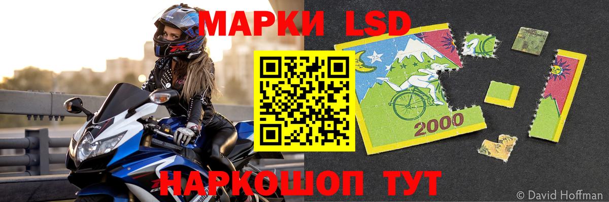 LSD-25 экстази кислота Лесной