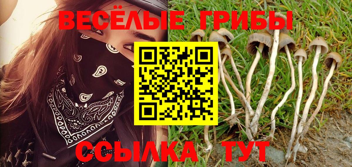 Лесной  Псилоцибиновые грибы GOLDEN TEACHER  Вход с VPN  Галлюциногенные грибы ЛСД 